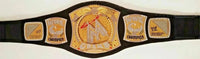 WWE Championship Spinner Replica Title Belt 6MM Plate