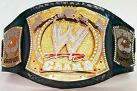 WWE Championship Spinner Replica Title Belt 6MM Plate