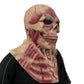 Skeleton Flesh Latex Mask Halloween Cosplay Fancy Dress Horror - NEXTLEVELUK