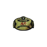 WWE RAW Ruthless Aggression World Tag Team Championship Belt 4mm Brass Plate